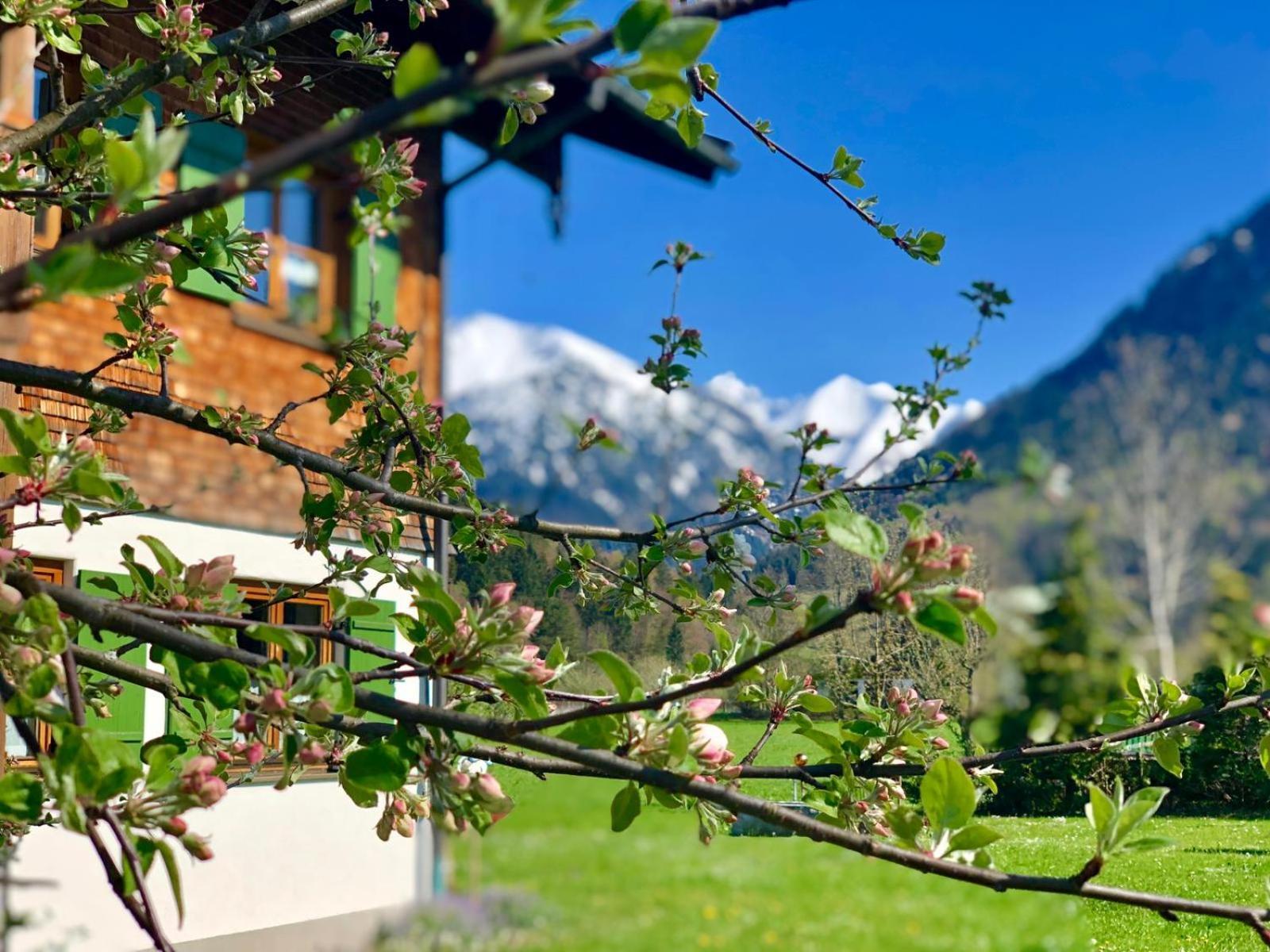 Landhaus Berktold Oberstdorf Exterior photo